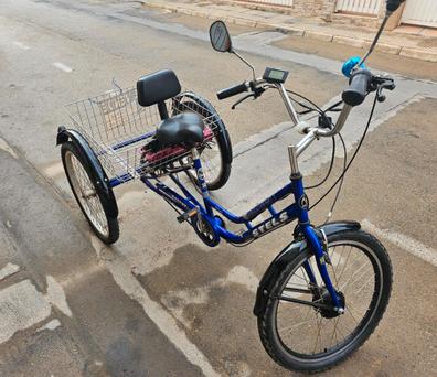  Bicicleta eléctrica en tándem para adultos con motor de 750 W,  tubo de bicicleta, batería de litio extraíble, bicicleta motorizada para  adultos con asiento de bicicleta ajustable para 2 personas 
