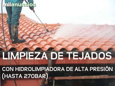 Milanuncios - chapas tejado