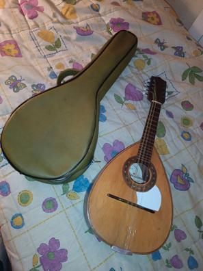 Instrumentos musicales de segunda mano baratos en Segovia Provincia |  Milanuncios