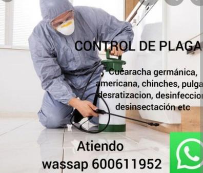 Mentor Contribuyente Hacer bien Fumigacion Desinfección de hogares y locales barato y con oferta en  Valencia | Milanuncios
