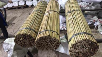 Milanuncios - Cañas de Bambú para decoración