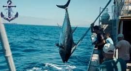 Pesca en barco en Barcelona