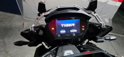 Triumph Tiger