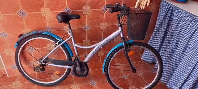 Bicicleta de paseo discount milanuncios