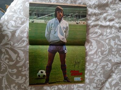 johan cruyff nº21 campeonato liga 80-81 - edici - Compra venta en