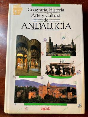 Historia de Una Escalera: Antonio Buero Vallejo: 9788423974047: :  Books