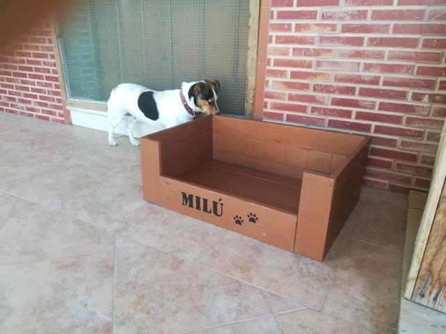 Cama de perro discount con caja de carton