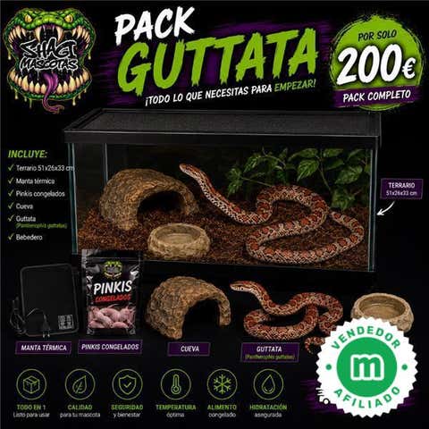 Milanuncios - Pack guttata, serpiente del maíz (Panthe