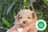 Milanuncios - POMAPOO