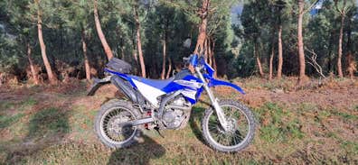 Yamaha - Wr 250 r