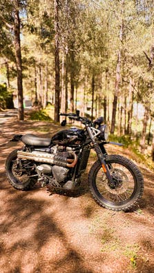Triumph Tiger 900 GT