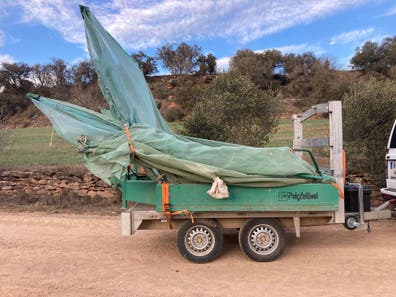 Maquinaria Agrícola paraguas recolector almendras de segunda mano y ocasión Milanuncios