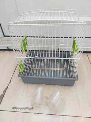 Regalo jaula pajaros adopción accesorios de mascota segunda mano baratos | Milanuncios