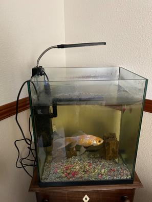 Depuradora acuario Mascotas en adopción y accesorios de mascota de segunda  mano baratos
