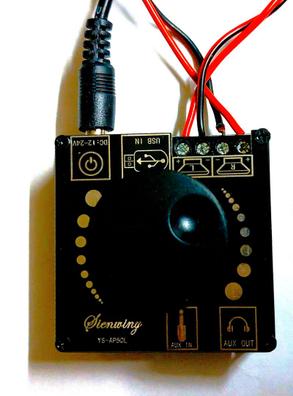 Mini Amplificador de Voz Recargable Profesional Inalámbrico BT