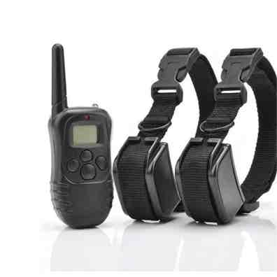 Collares adiestramiento Artículos accesorios de caza Asturias | Milanuncios