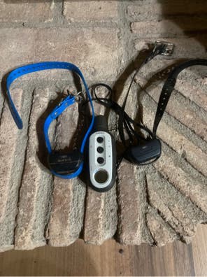 Collar adiestramiento Artículos de caza de mano baratos Barcelona | Milanuncios