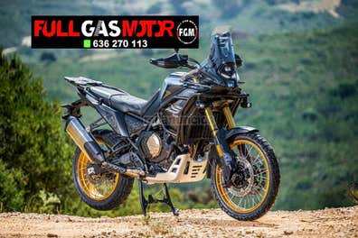 VOGE DS 800 Rally