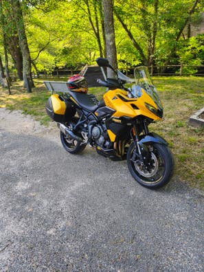 Triumph Tiger