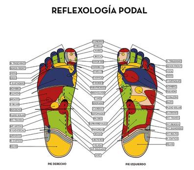 Reflexologia podal pie discount izquierdo