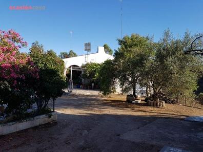 Sierra morena Fincas rústicas en venta. Comprar y vender fincas |  Milanuncios