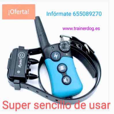 Collares de adiestramiento Artículos y accesorios de caza en Milanuncios