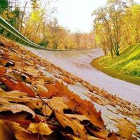 Milanuncios - Antigua figura - Pez Cristal de Murano